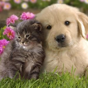 Meet your Posher, Christene